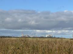 Hinkley Point power station - seen from Wall Common